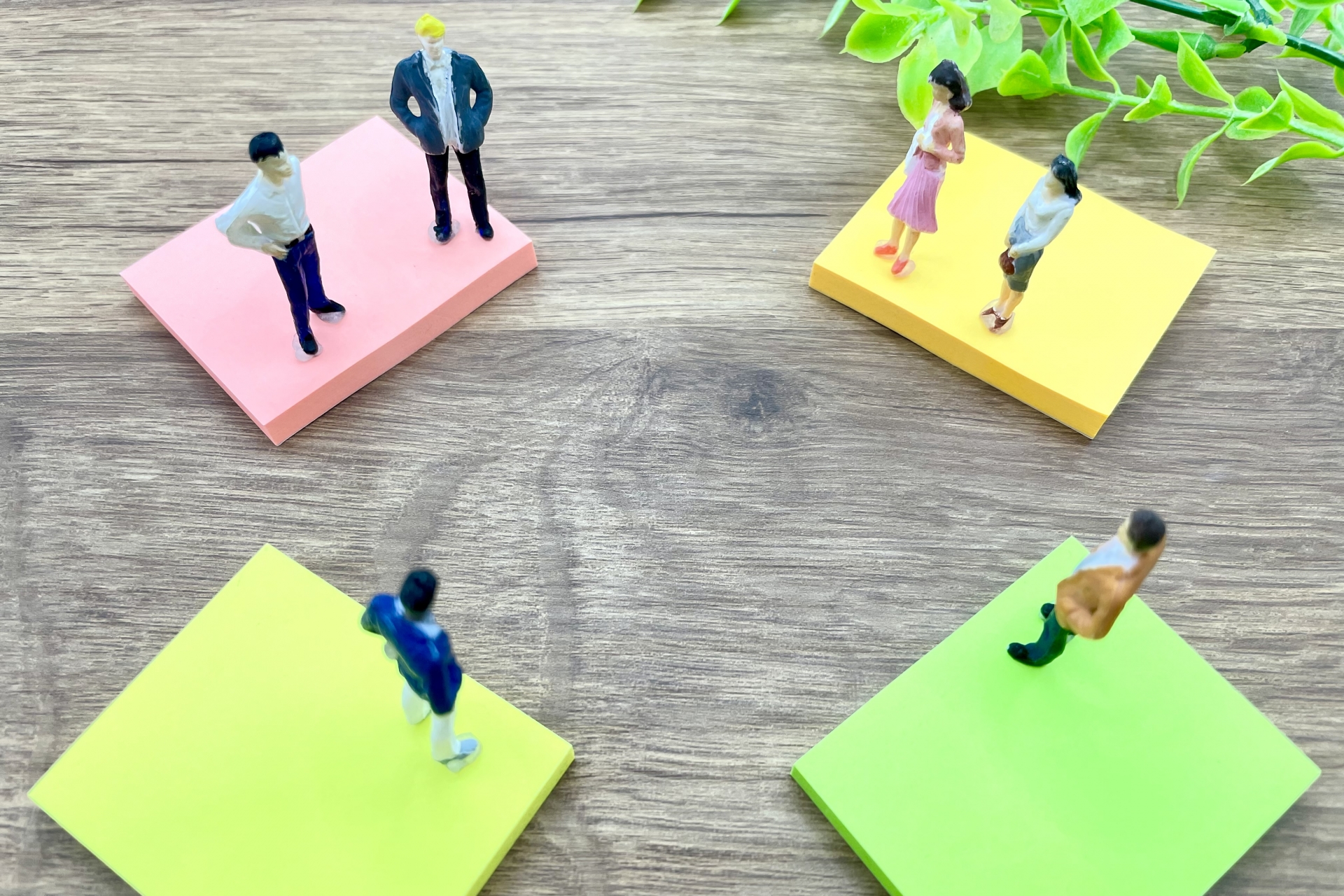 外食や小売店の多店舗展開に特化